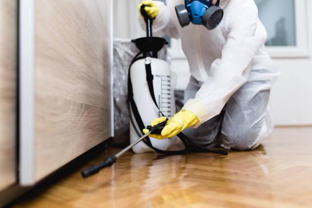 Best Pest Control for Businesses  in Philippi, WV