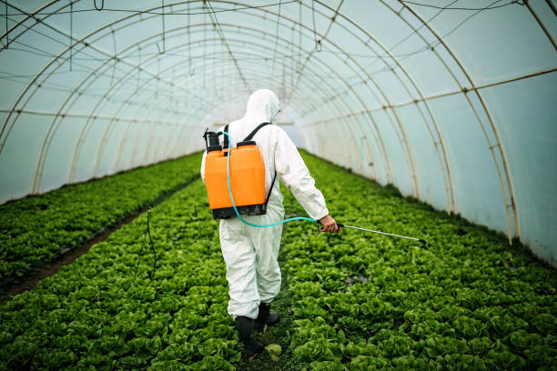 Best Commercial Pest Control Services  in Philippi, WV