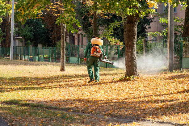 Best Best Pest Control Companies  in Philippi, WV